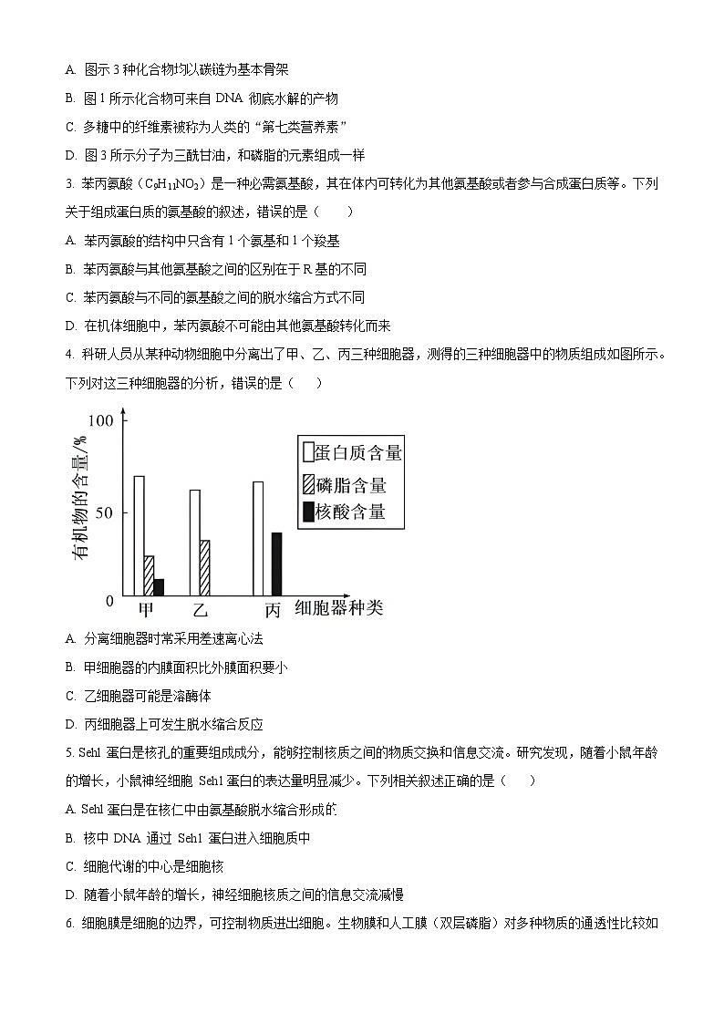 湖南省部分学校2023-2024学年高一上学期期末联考生物试题(原卷版)第2页
