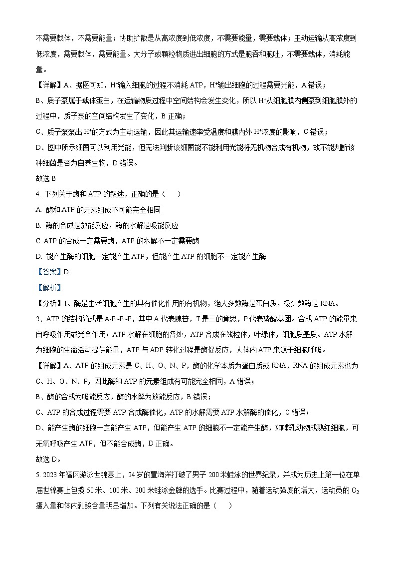 安徽省部分学校2023-2024学年高三上学期期末生物试题 Word版含解析第3页