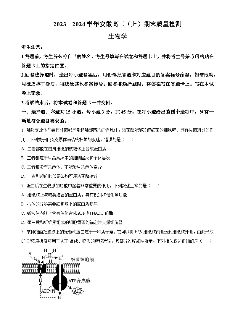 安徽省部分学校2023-2024学年高三上学期期末生物试题(原卷版)第1页