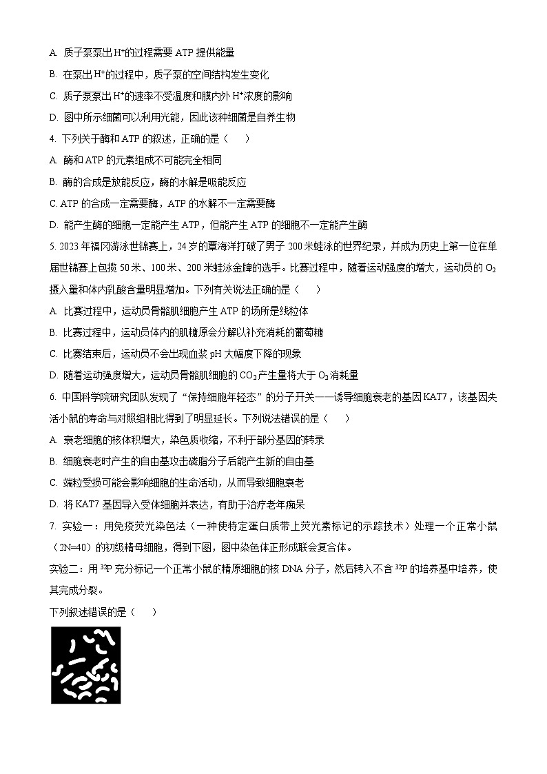 安徽省部分学校2023-2024学年高三上学期期末生物试题(原卷版)第2页