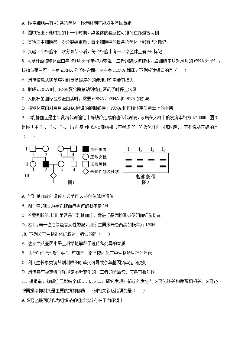 安徽省部分学校2023-2024学年高三上学期期末生物试题(原卷版)第3页