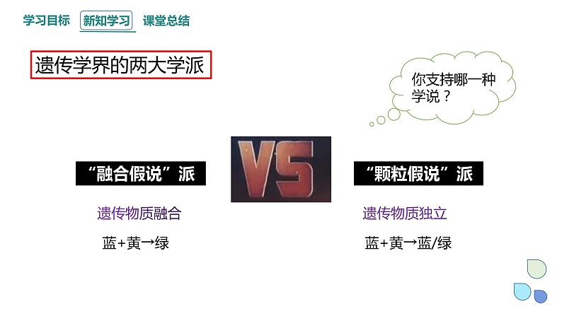 1.1 课时1 孟德尔从一对相对性状的杂交实验中总结出分离定律 课件 2023-2024学年高一生物浙科版(2019)必修2第3页