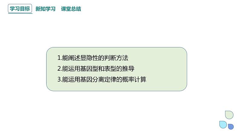 1.1 课时3 孟德尔从一对相对性状的杂交实验中总结出分离定律 课件 2023-2024学年高一生物浙科版(2019)必修2第2页