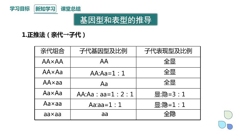 1.1 课时3 孟德尔从一对相对性状的杂交实验中总结出分离定律 课件 2023-2024学年高一生物浙科版(2019)必修2第5页