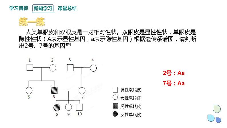 1.1 课时3 孟德尔从一对相对性状的杂交实验中总结出分离定律 课件 2023-2024学年高一生物浙科版(2019)必修2第7页
