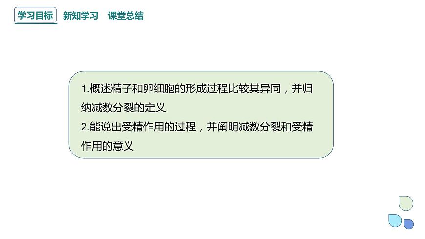 2.1 課時(shí)2 染色體通過配子傳遞給子代（2） 課件 2023-2024學(xué)年高一生物浙科版（2019）必修2第2頁