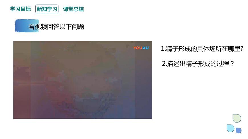 2.1 課時(shí)2 染色體通過配子傳遞給子代（2） 課件 2023-2024學(xué)年高一生物浙科版（2019）必修2第4頁