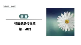 3.1 课时1 核酸是遗传物质 课件 2023-2024学年高一生物浙科版（2019）必修2