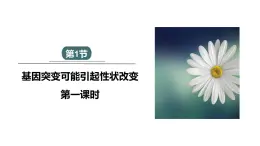 4.1 课时1 基因突变可能引起性状改变 课件 2023-2024学年高一生物浙科版（2019）必修2