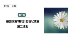 4.1 课时2 基因突变可能引起性状改变 课件 2023-2024学年高一生物浙版（2019）必修2