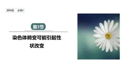 4.3 染色体畸变可能引起性状改变 课件 2023-2024学年高一生物浙科版（2019）必修2