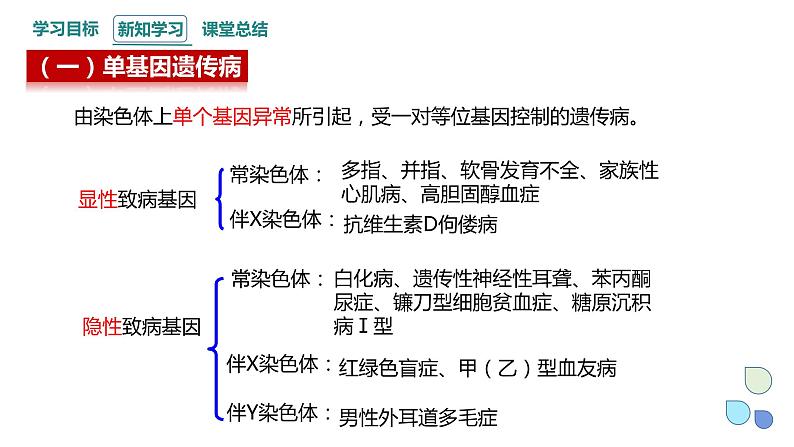 4.4 人类遗传病是可以检测和预防的 课件 2023-2024学年高一生物浙科版(2019)必修205