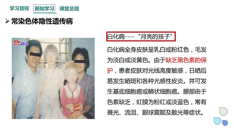 4.4 人类遗传病是可以检测和预防的 课件 2023-2024学年高一生物浙科版(2019)必修208