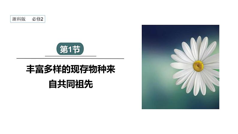 5.1 丰富多样的现存物种来自共同祖先 课件 2023-2024学年高一生物浙科版(2019)必修201