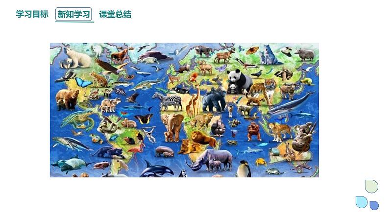 5.1 丰富多样的现存物种来自共同祖先 课件 2023-2024学年高一生物浙科版(2019)必修203
