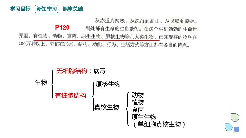 5.1 丰富多样的现存物种来自共同祖先 课件 2023-2024学年高一生物浙科版(2019)必修204