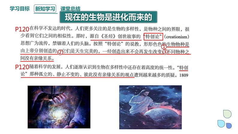 5.1 丰富多样的现存物种来自共同祖先 课件 2023-2024学年高一生物浙科版(2019)必修205