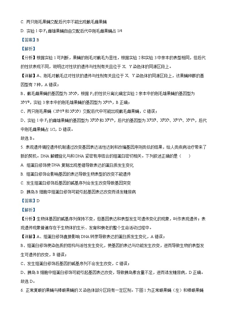 湖南省娄底市2023-2024学年高三1月期末生物试题 Word版含解析第3页
