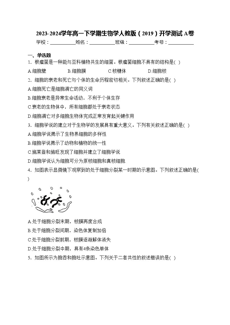 2023-2024学年高一下学期生物学人教版(2019)开学测试 A卷(含答案)第1页