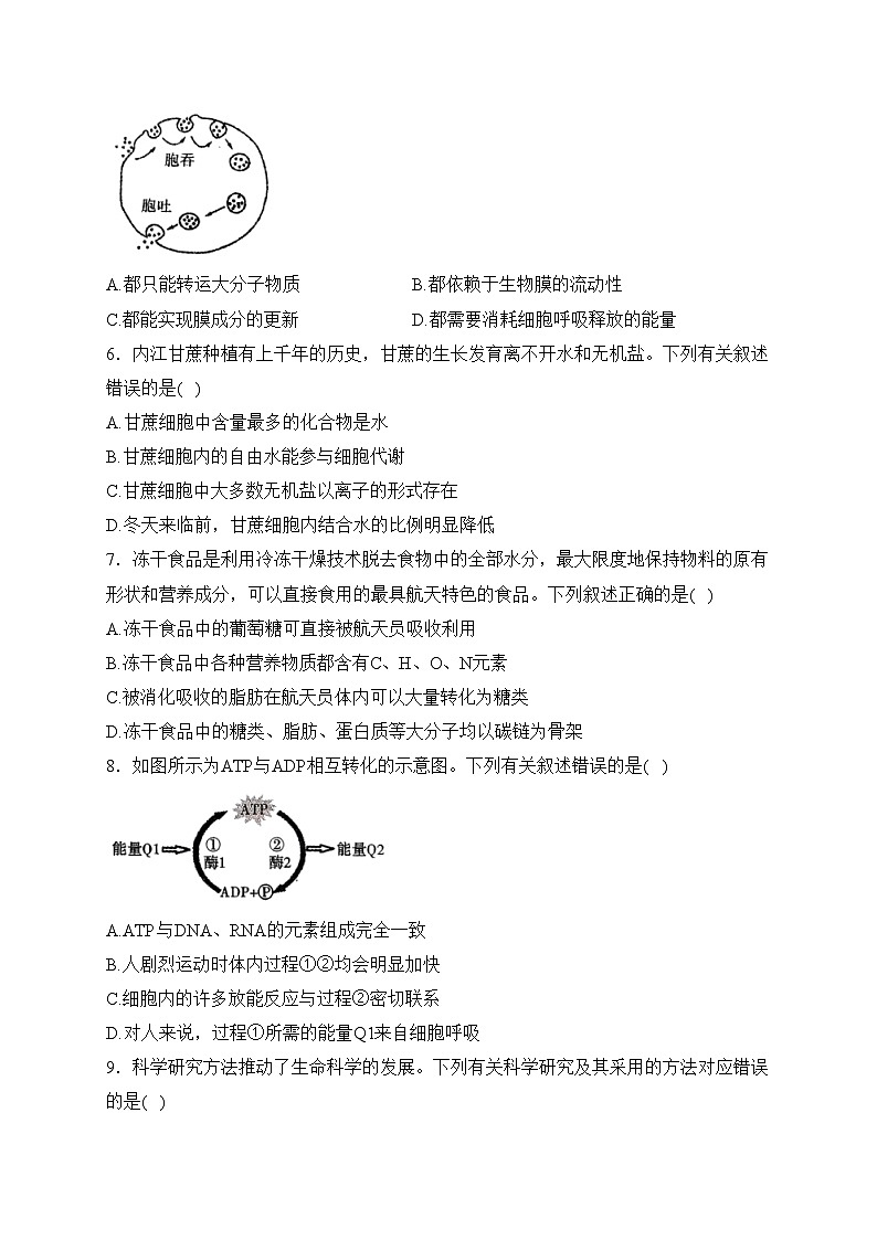 2023-2024学年高一下学期生物学人教版(2019)开学测试 A卷(含答案)第2页