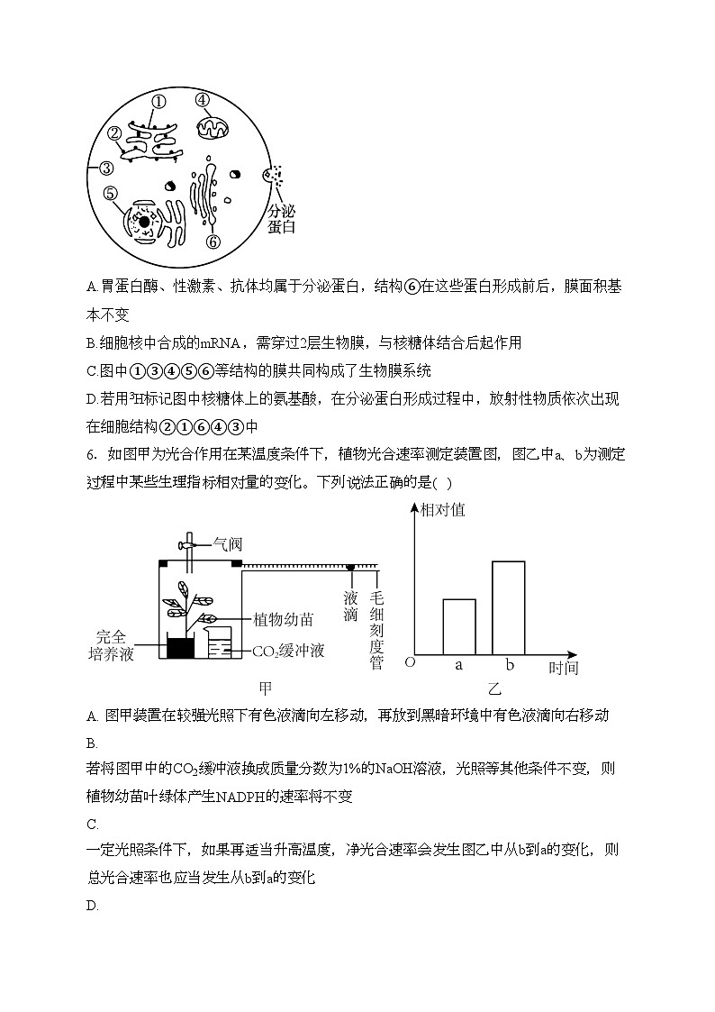 2023-2024学年高一下学期生物学人教版(2019)开学测试 B卷(含答案)第2页