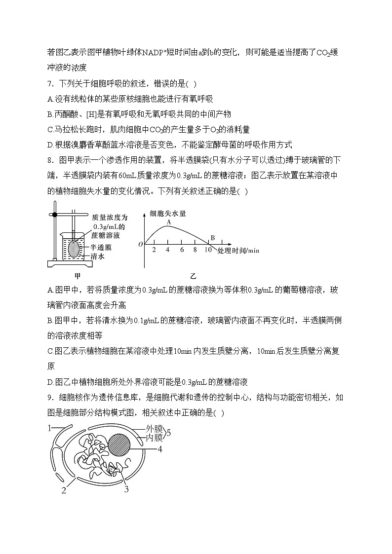 2023-2024学年高一下学期生物学人教版(2019)开学测试 B卷(含答案)第3页