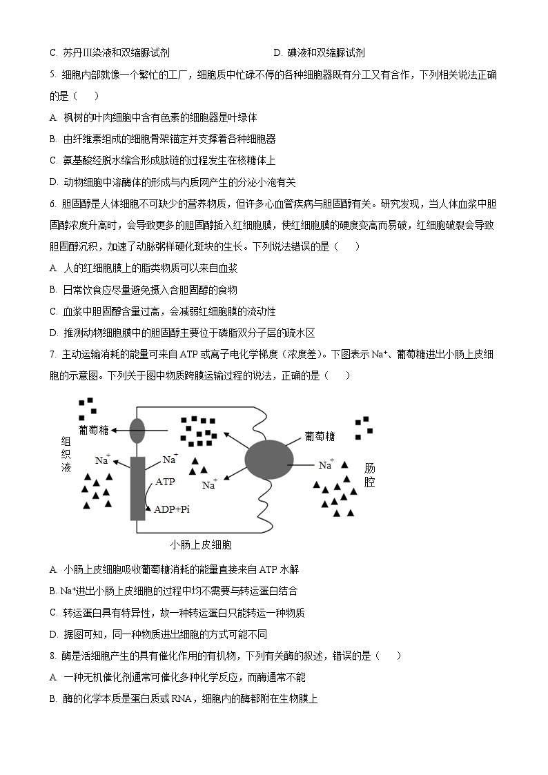 安徽省合肥市第六中学2023-2024学年高一上期末质量检测生物试卷（Word版附解析）02