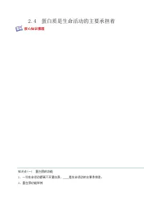 人教版 (2019)必修1《分子与细胞》第4节 蛋白质是生命活动的主要承担者同步测试题