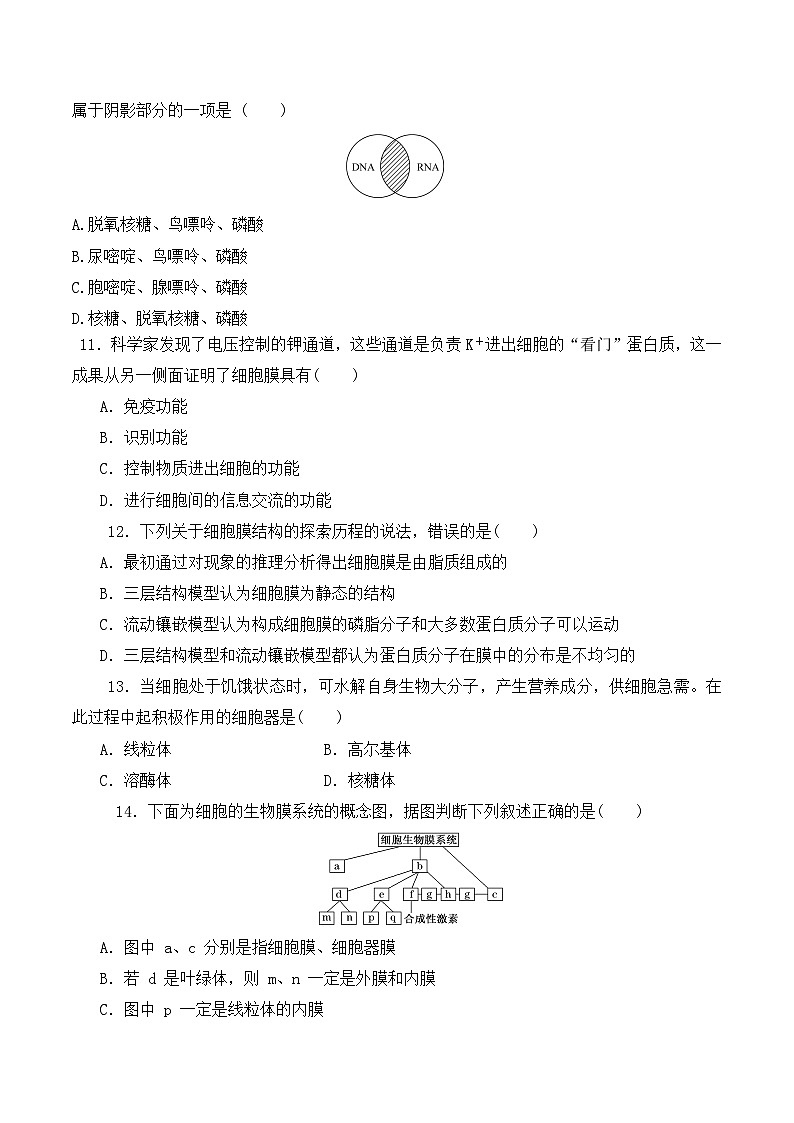 高一生物上学期课后培优分级练(2019人教版必修1)期中预测卷(二)(原卷版+解析)03