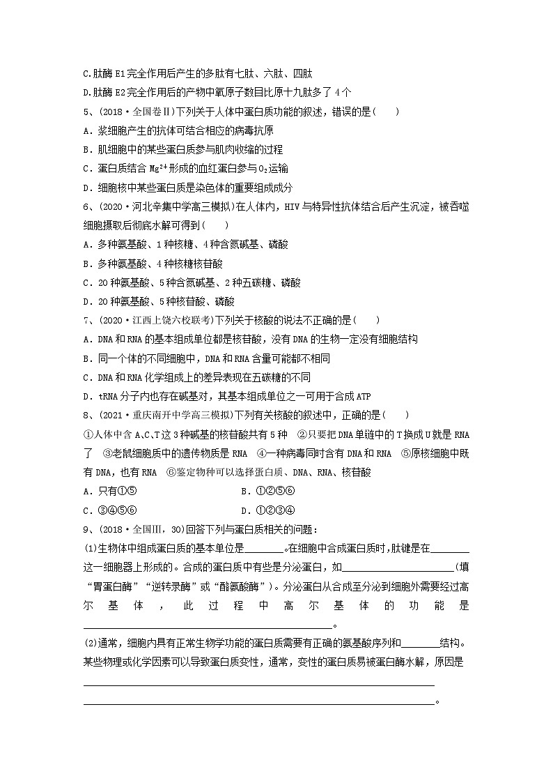 高考生物一轮复习串讲精练(新高考专用)专题03 蛋白质和核酸(精练)(原卷版+解析)02