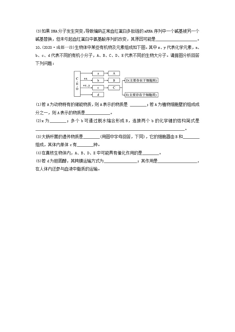 高考生物一轮复习串讲精练(新高考专用)专题03 蛋白质和核酸(精练)(原卷版+解析)03