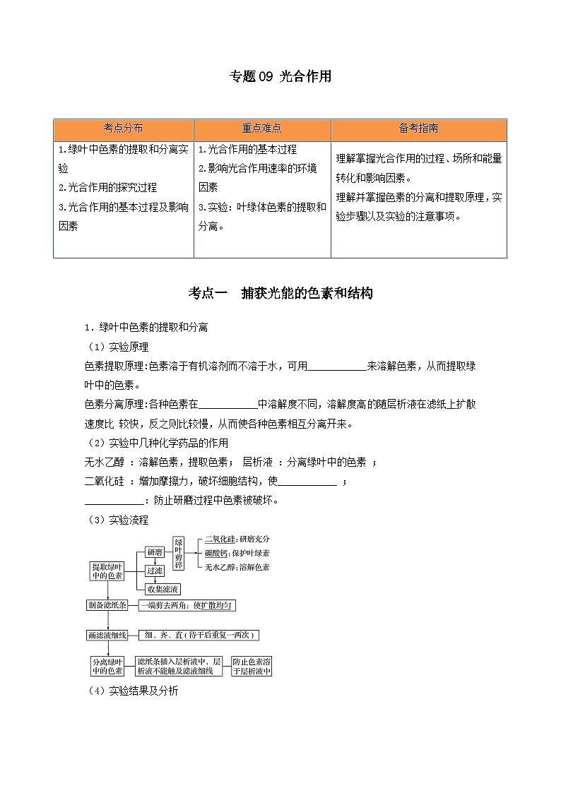 高考生物一轮复习串讲精练(新高考专用)专题09 光合作用(串讲)(原卷版+解析)01