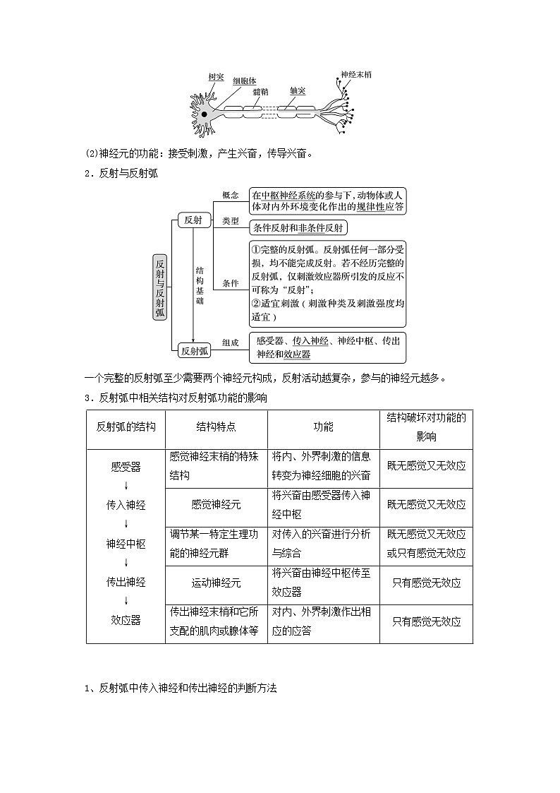 高考生物一轮复习串讲精练(新高考专用)专题24 神经调节(串讲)(原卷版+解析)第2页