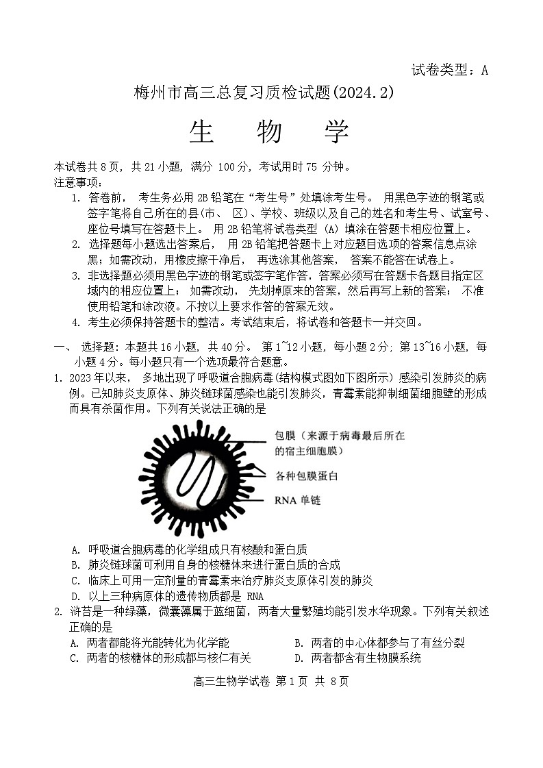 2024梅州高三下学期一模考试(2月)生物含答案第1页