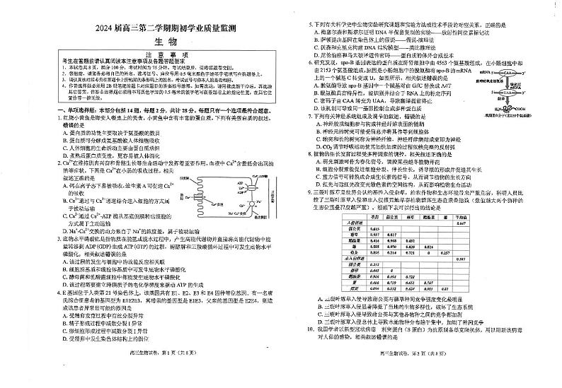 江苏省海安高级中学2023-2024学年高三下学期开学考试生物试题01