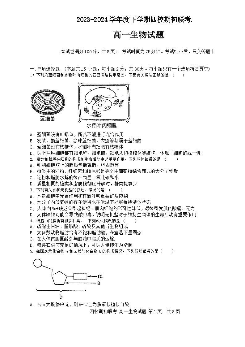 吉林省四校2023-2024学年高一下学期开学联考生物试卷(Word版附答案)01