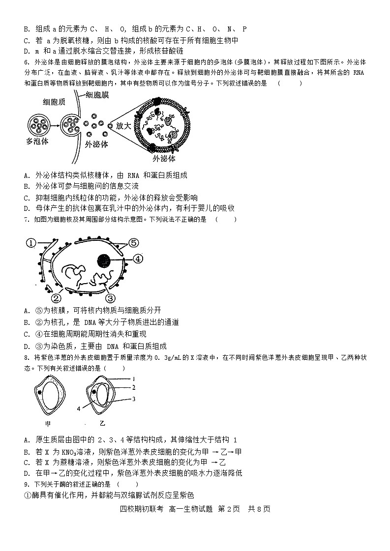吉林省四校2023-2024学年高一下学期开学联考生物试卷(Word版附答案)02