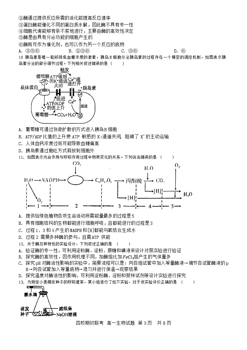 吉林省四校2023-2024学年高一下学期开学联考生物试卷(Word版附答案)03