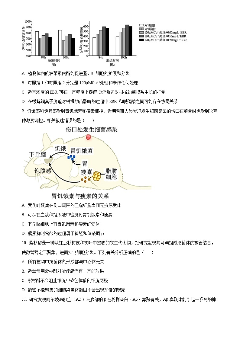 2024届黑龙江省哈尔滨市第三中学校高三下学期第一次模拟考试生物试题03