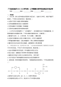 广东省汕尾市2023-2024学年高一上学期期末教学质量测试生物试卷(含答案)