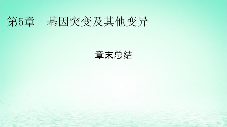 2024春高中生物第5章基因突变及其他变异章末总结课件（人教版必修2）01