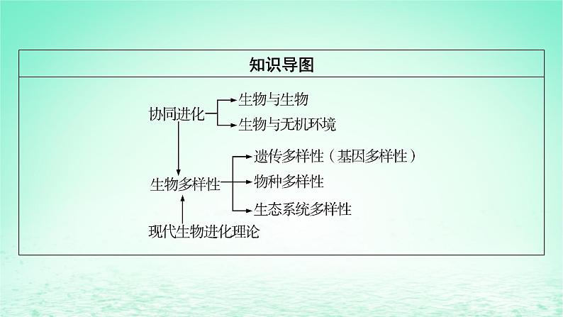 2024春高中生物第6章生物的进化4协同进化与生物多样性的形成课件(人教版必修2)第3页