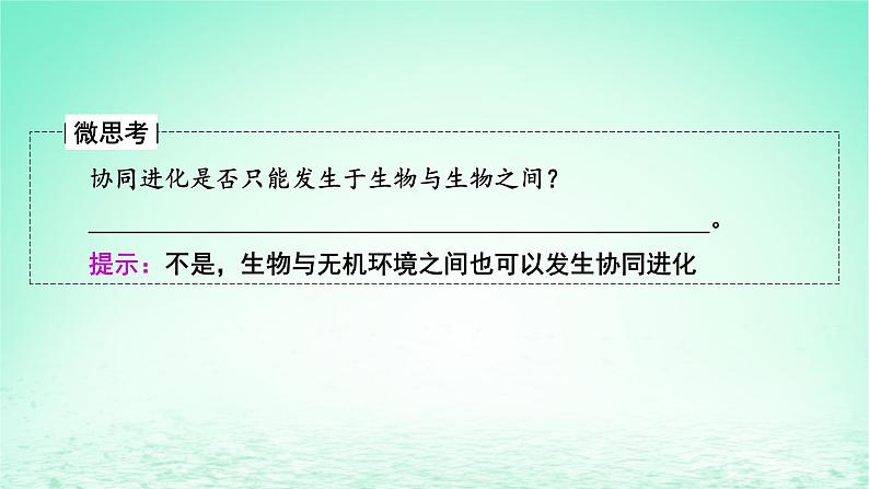 2024春高中生物第6章生物的进化4协同进化与生物多样性的形成课件(人教版必修2)第8页