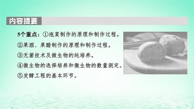 2024春高中生物第1章发酵工程第1节传统发酵技术的应用课件(人教版选择性必修3)第4页