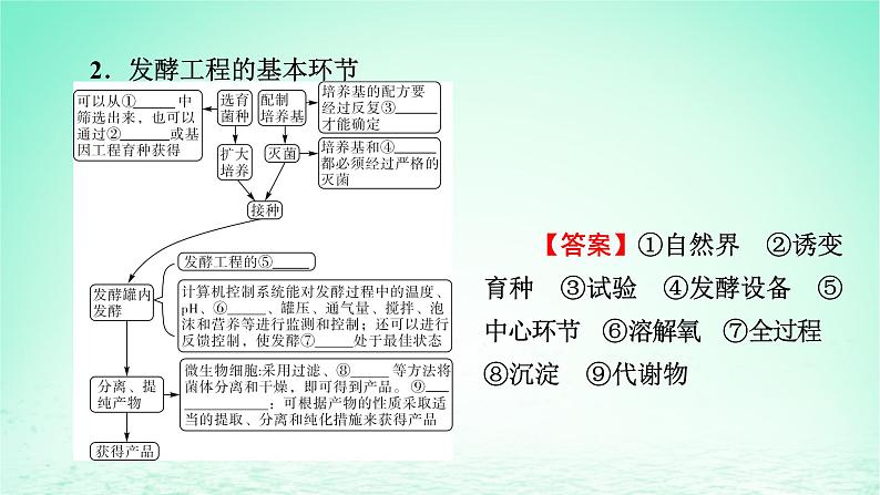 2024春高中生物第1章发酵工程第3节发酵工程及其应用课件(人教版选择性必修3)第6页