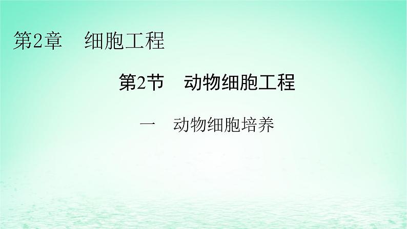 2024春高中生物第2章细胞工程第2节动物细胞工程一动物细胞培养课件(人教版选择性必修3)01