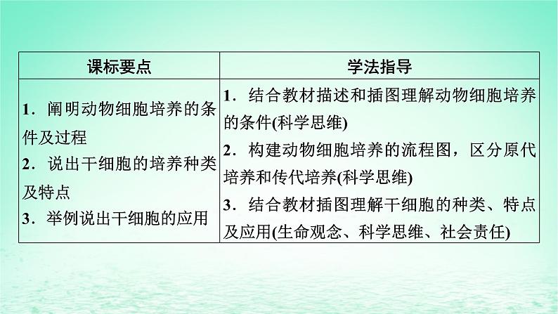 2024春高中生物第2章细胞工程第2节动物细胞工程一动物细胞培养课件(人教版选择性必修3)02
