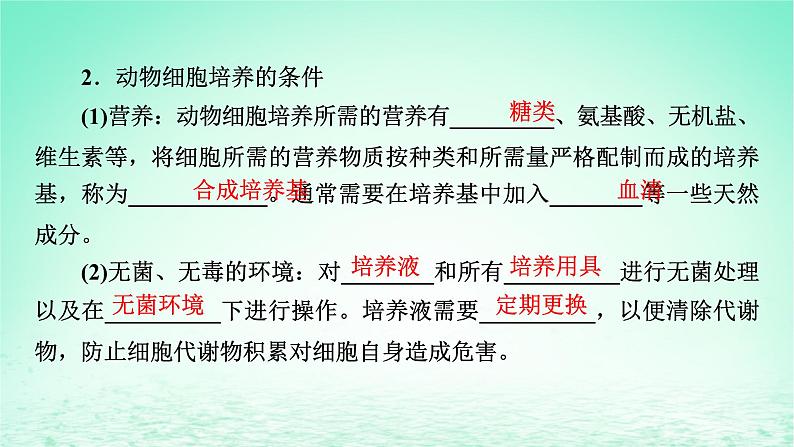 2024春高中生物第2章细胞工程第2节动物细胞工程一动物细胞培养课件(人教版选择性必修3)06