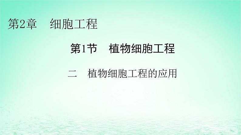 2024春高中生物第2章细胞工程第1节植物细胞工程二植物细胞工程的应用课件(人教版选择性必修3)第1页