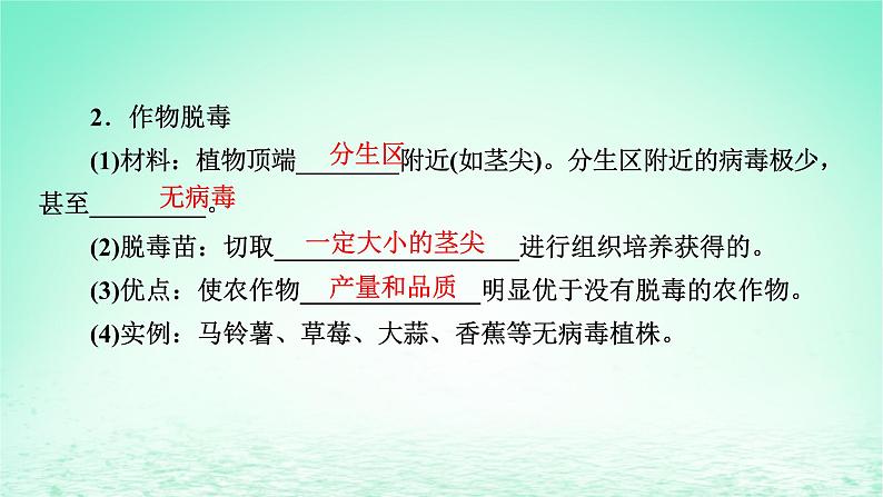 2024春高中生物第2章细胞工程第1节植物细胞工程二植物细胞工程的应用课件(人教版选择性必修3)第6页